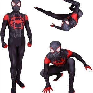 Into the Spider verse costume- adult medium